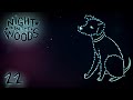 Звездное небо • 22 Night in the Woods