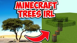 How do MINECRAFT TREES look like in REAL LIFE ??? Minecraft VS Realistic: Minecraft Tree IRL