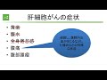 肝臓がんの内科的治療（IVR・抗がん剤治療）