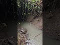 Sunset Summit Apartments (upstream culvert failure)