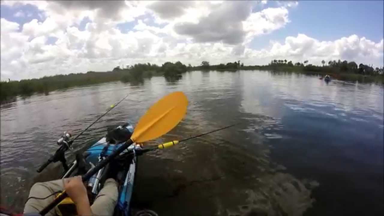 Kayak Fishing Drum Island, Florida YouTube