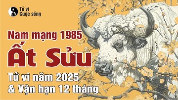 Tuổi Ất Sửu 1985 nam mạng - Chi tiết Tử vi năm 2025 và Vận hạn 12 tháng