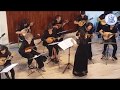 Butterfly Love - mandolin orchestra - Shumi Huang | 蝶戀 | 臺法曼陀鈴交流演奏會 | 黃舒彌