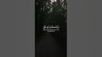 القارئ: عبدالرحمن مسعد، سورة آل عمران (١٩٠-١٩١).