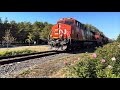 CN L594W going by Kinghurst