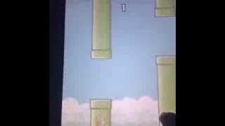 Flappy Bird got everyone like...