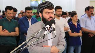 سورة القدر - بيشةوا قادر الكردي