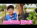 ตกปลากับพ่อ ep 34 / คลอง 3 ยังมีตัว โดนฝูงอนุบาลถล่มอีกแล้ว / ต้นน้ำ