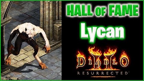 Greenlungz & The Big Bad Wolf - Affordable Top Tier Build [D2R Hall of Fame]