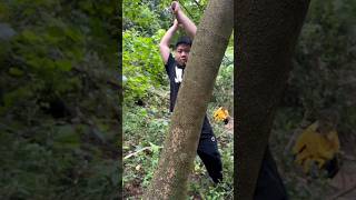 Rt Hello4042172 Mini Rotary Tillage And Ridging All-In One Tree Short View