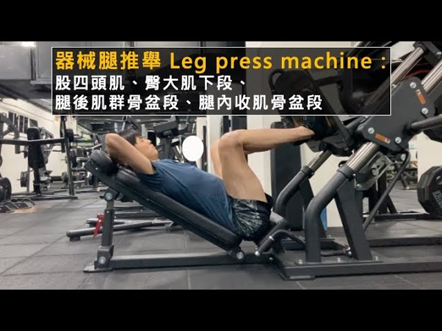 器械腿推舉 Leg press machine:腿部肌力基礎鍛鍊,股四頭肌、臀大肌下段、腿後肌群骨盆段、腿內收肌骨盆段 縮圖