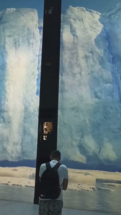 Океанариум в Монако #лазурныйберег #монако #monaco #oceanarium - YouTube