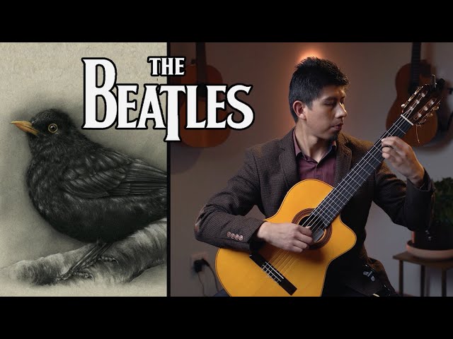 Beautiful music and Art  - Blackbird – THE BEATLES – Fingerstyle guitar and Drawing