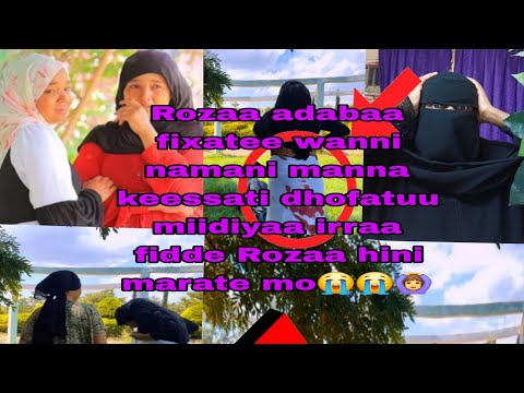 Rozaa Offi Sirreessi Oromoo Akkumaa Durani Si Faarisaa Turre Ammamo Kiloo Kee Gadii Bu E Jiraa Rozaa Offi Sirreessi Oromoo Akkumaa Durani Si Faarisaa Turre Ammamo Kiloo Kee Gadii Bu E Jiraa