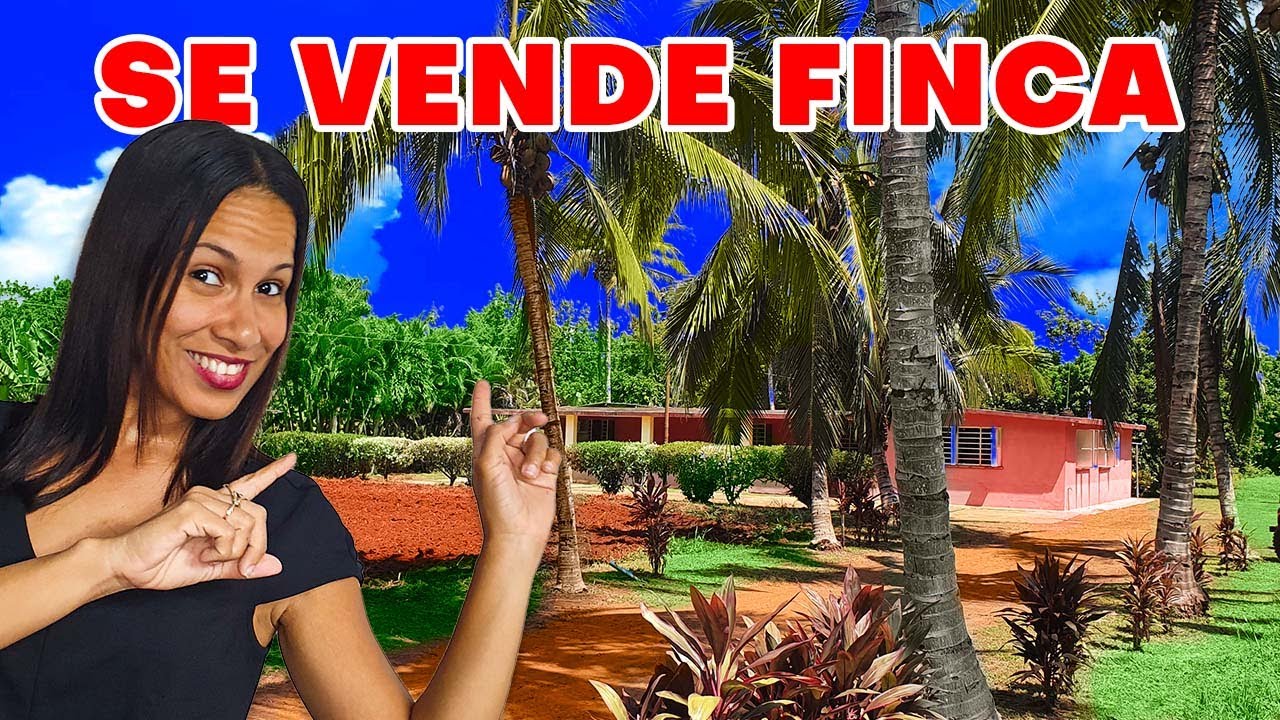 SE VENDE‼️ inmensa FINCA con CASA, PISCINA y una gran HECTÁREA de Tierra en LA HABANA, Cuba.