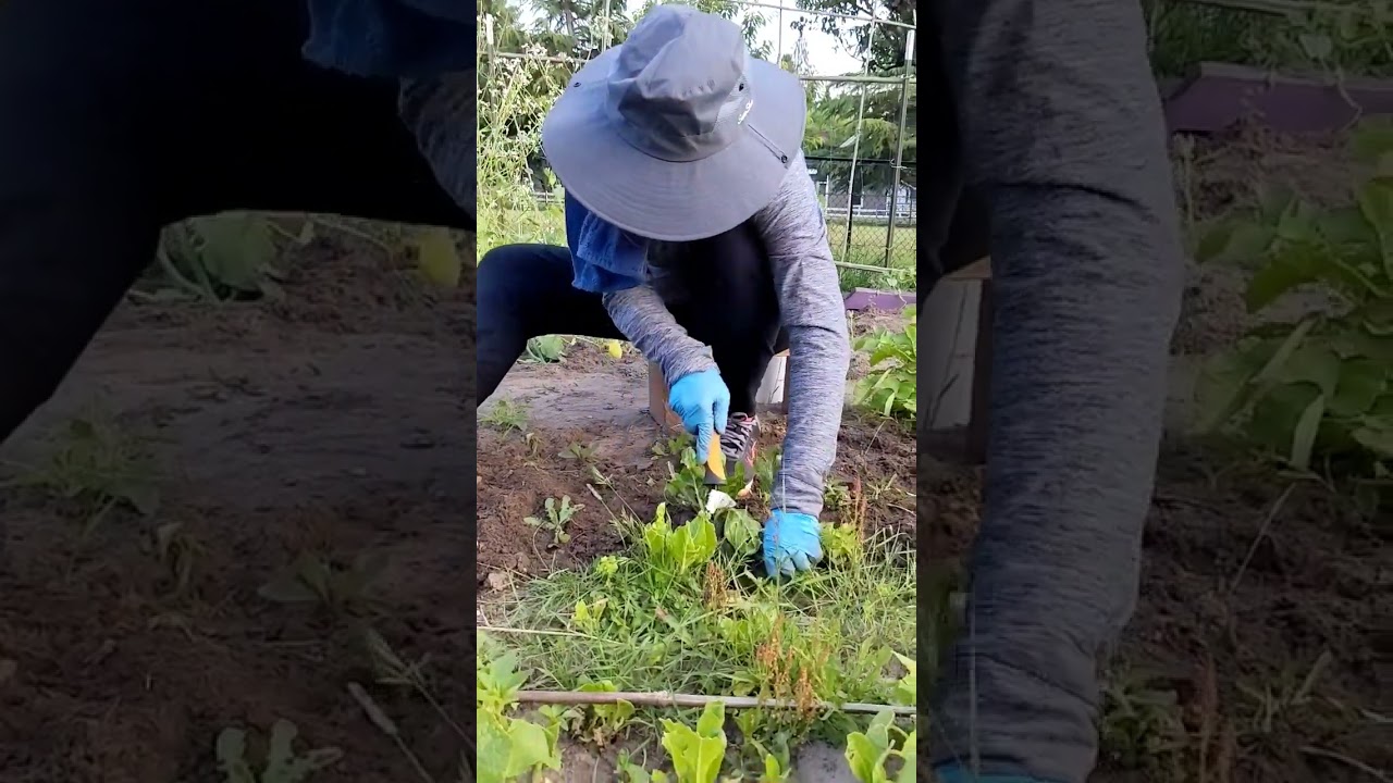 She never Stop until not done