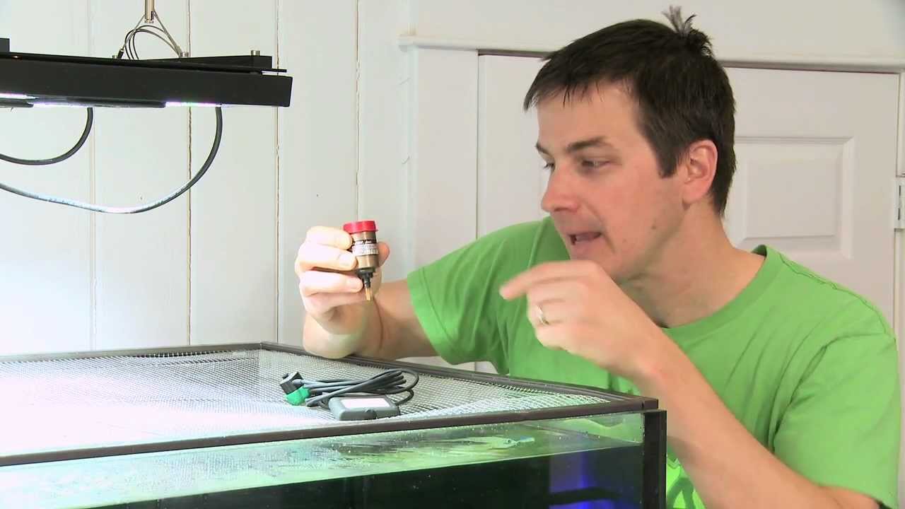 aquarium plants Mr. Saltwater Tank's Review of EcoTech Marine's Radion Generation 2 and Radion Pro LED Fixtures
