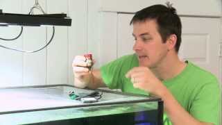 Mr. Saler Tanks Review Of Ecotech Marines Radion Generation 2 And Radion Pro Led Fixtures