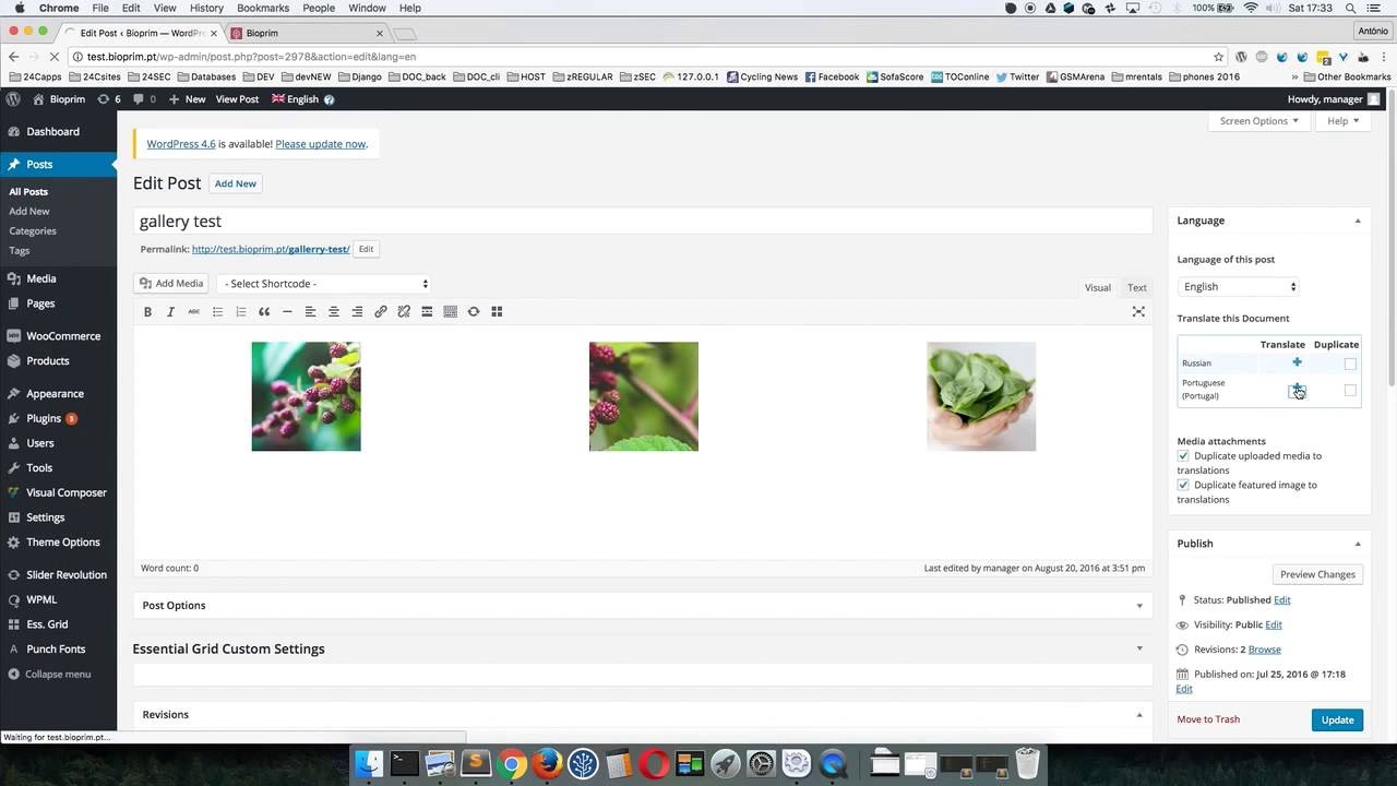Translate Post/page/product Wordpress (WPML)