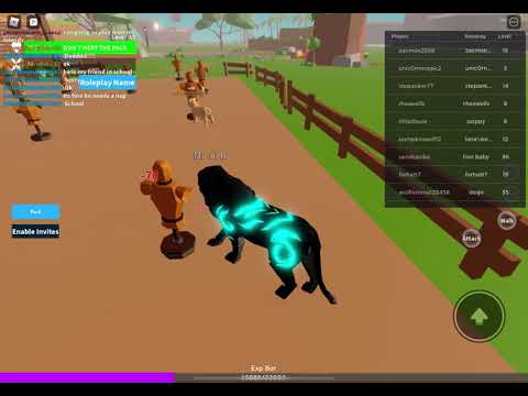 How To Attack A Player And Get More Hearts Roblox Animal Simulator Hqdefault 