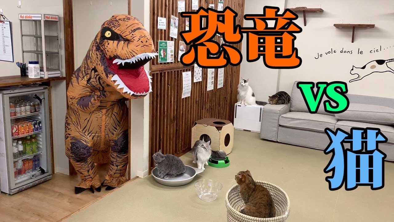 猫カフェに恐竜が出たら猫達はどんな反応をするのか？？