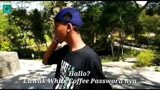 Story wa pasword luwak white coffe