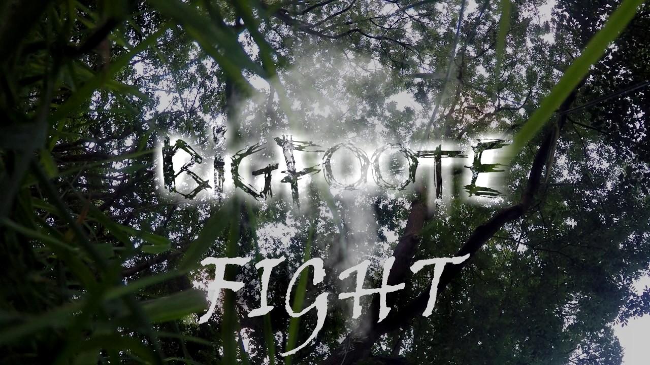 BIGFOOTE - FIGHT