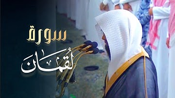 خواتيم سورة لقمان ترتيل بديع وعذب للشيخ محمد برهجي صلاة المغرب 10-5-1446 هـ