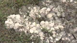 Wild Weather: Snow, Tornadoes Plague Much of US