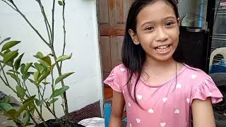 Celebrity GILMARI P. ESTRADA EPP 4- MARCOTTING Profile