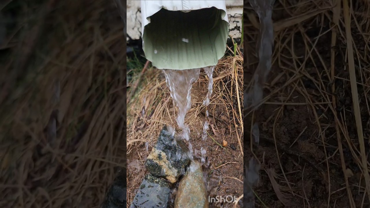 وتحب المطر وانت المطر ينزل يحاكيك تغلا على كيفك 