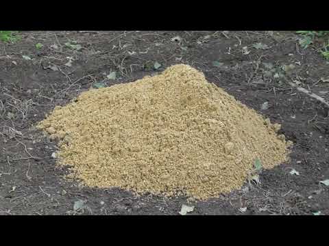 Greenhouse Building base pegged now & tools 2 March 2026