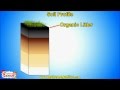 Soil Types and Plant Growth