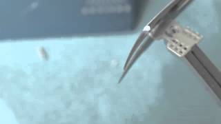 Reduction of a PEEK-implant PERSO-B001 for a width of 10mm on OBOCK - Red