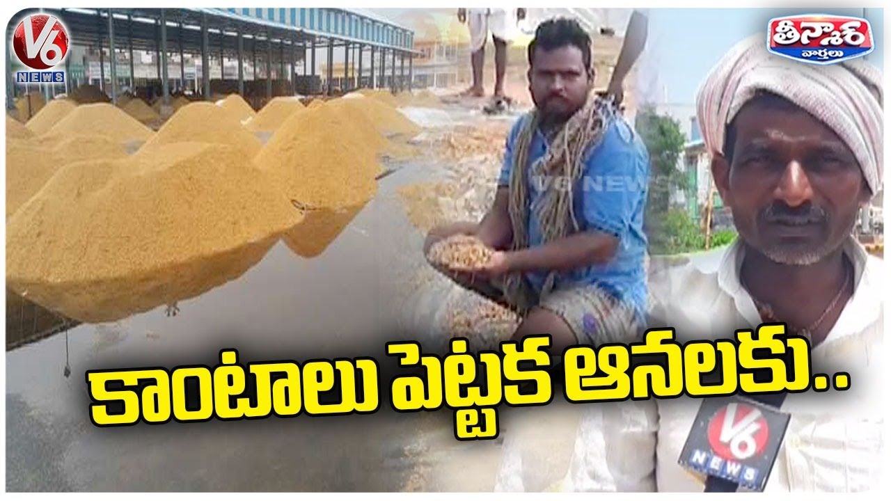 Crop Damage In State With Heavy Rain Due To Delay In Govt Purchases ...