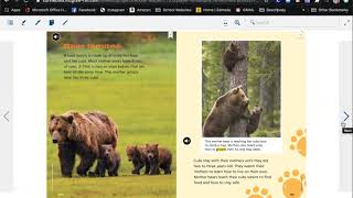 Baby Bears Wonders 2nd Grade Unit 2 Week 4 Literature Anthology