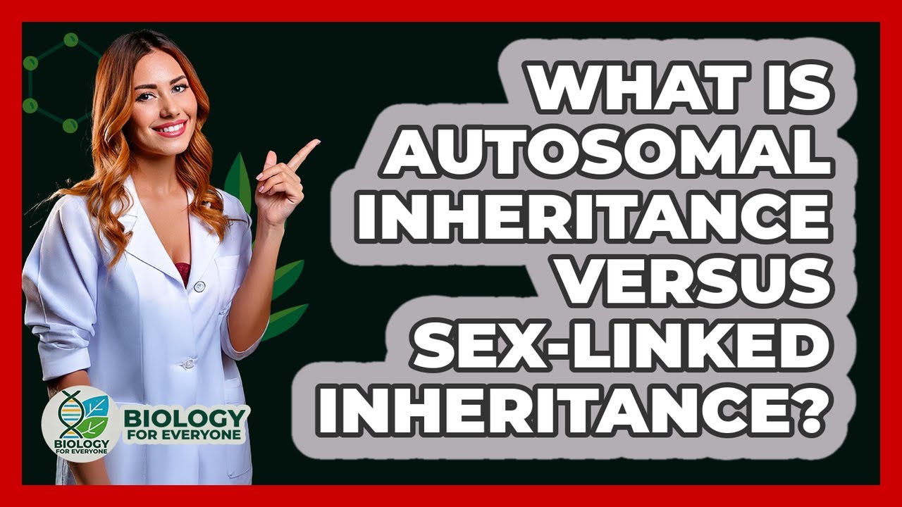 What Is Autosomal Inheritance Versus Sex-linked Inheritance? - Biology For Everyone