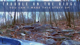 Fern Ridge: Blue - AOAA - Trouble In the Ferns