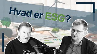 Hvad er ESG? | Erhvervsvinduet: Perspektiver fra de bedste