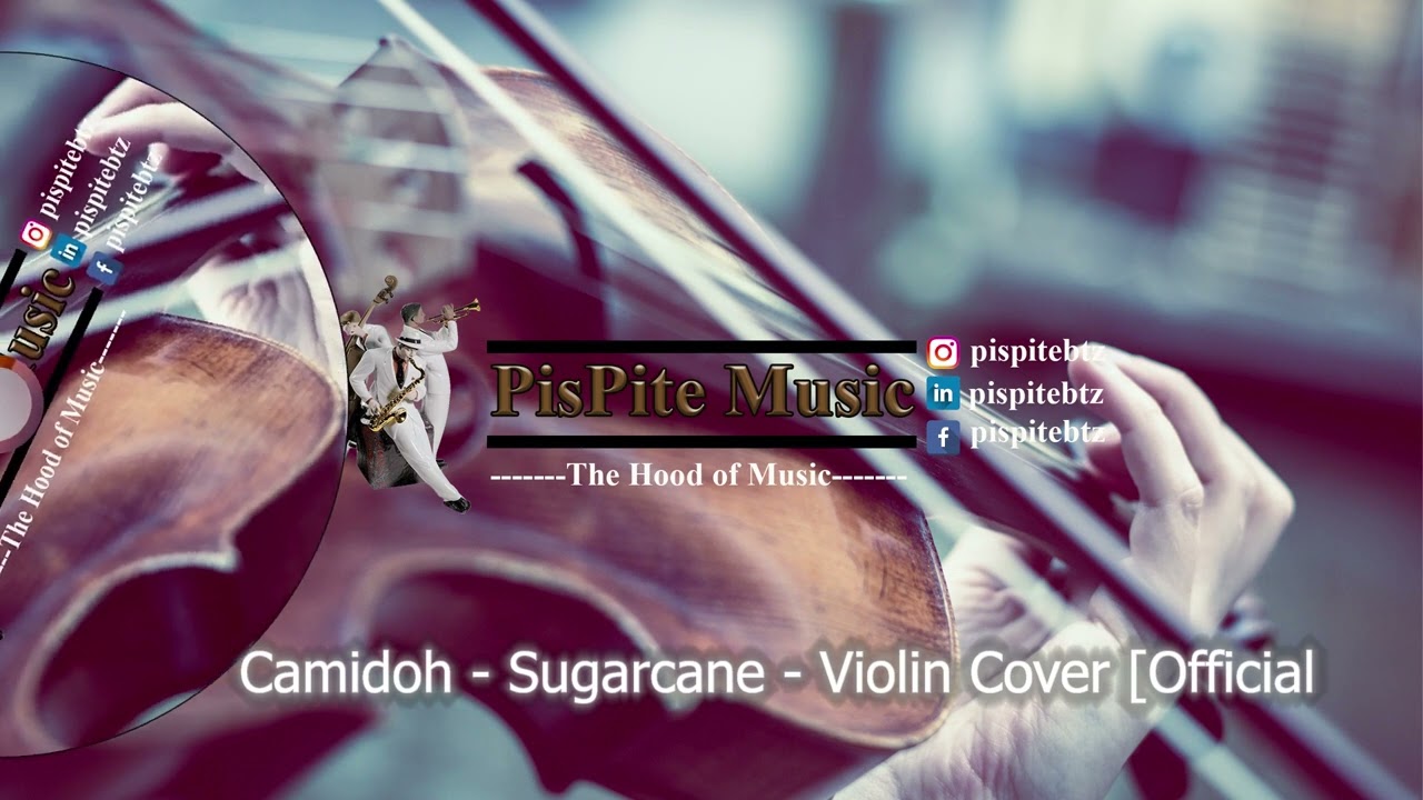 Camidoh  - Sugarcane  - Violin Cover - Official Cover
