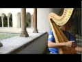 Antonio ostuni italian harpist with the european union youth orchestra