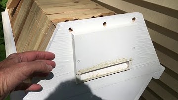 My Cathedral Topbar Beehive