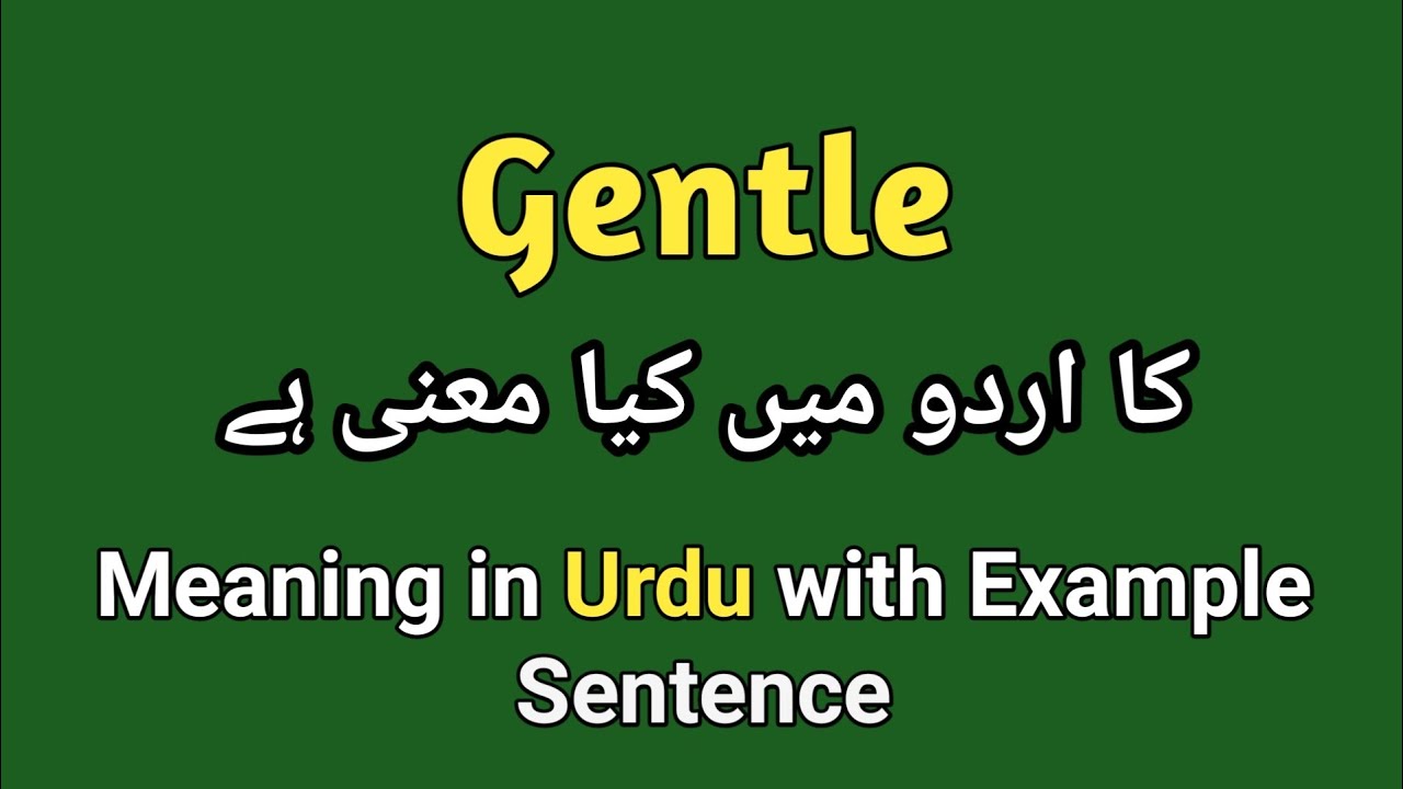gentle-meaning-in-urdu-hindi-gentle-ka-matlab-kia-hota-ha-youtube