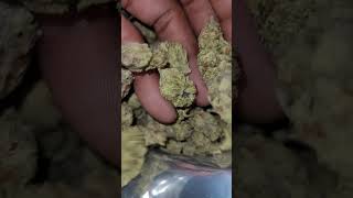 Ferrari Runtz 🔥 tsb  it's fire..nice smell and look and taste #thcasmallbuds  #thcareview