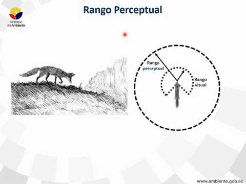 Ecologia de paisaje  Sección 4