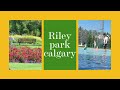 Places of interest for kids in calgary | Riley park | Explore Calgary with me