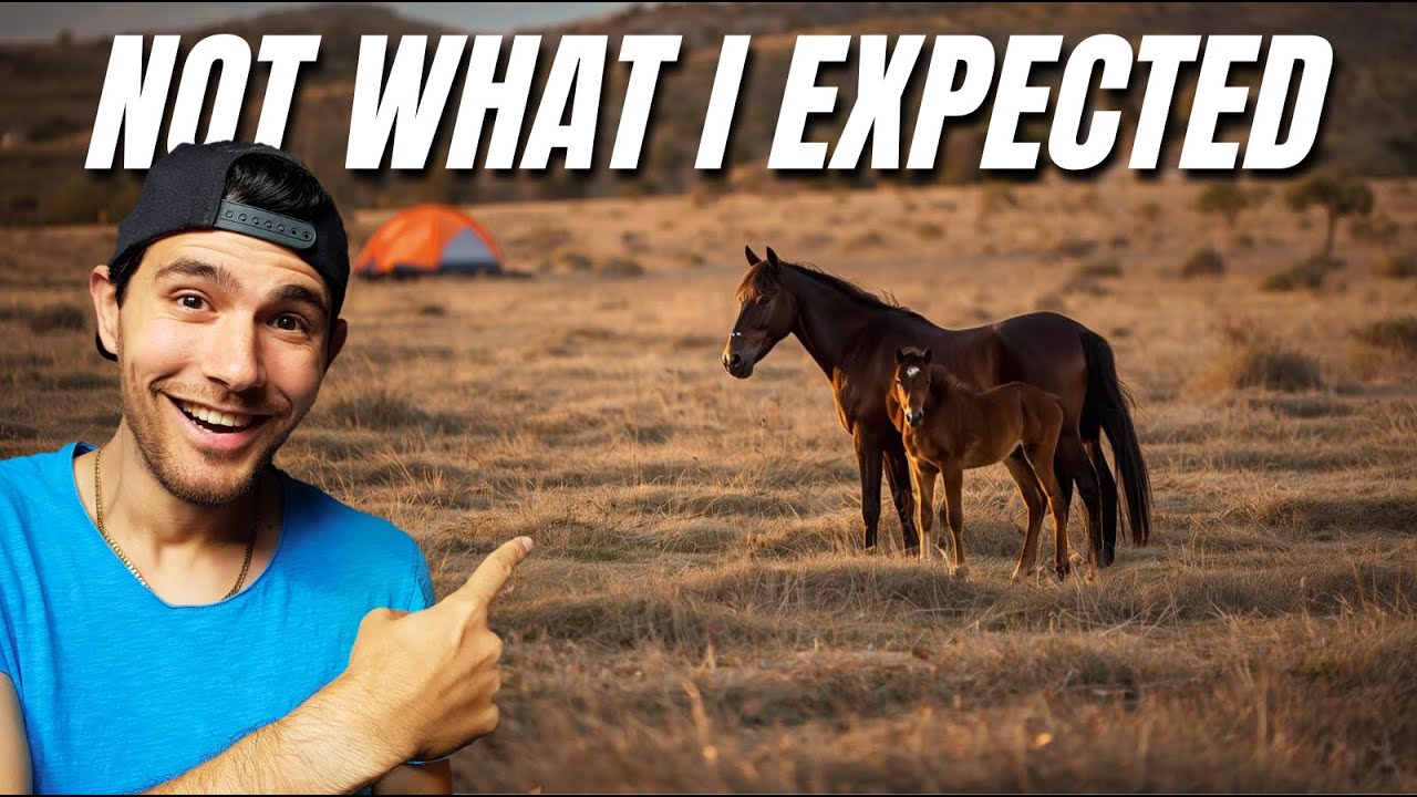 Wildcamping in Mykonos | Ferry Island Hopping - Mykonos to Athens | WOKE UP TO HORSES! EP.7