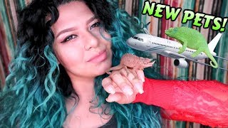 I SMUGGLED MY NEW PETS FROM THE REPTILE EXPO ON THE PLANE! (AND IT WORKED)