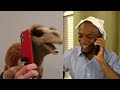 Beginning of video
