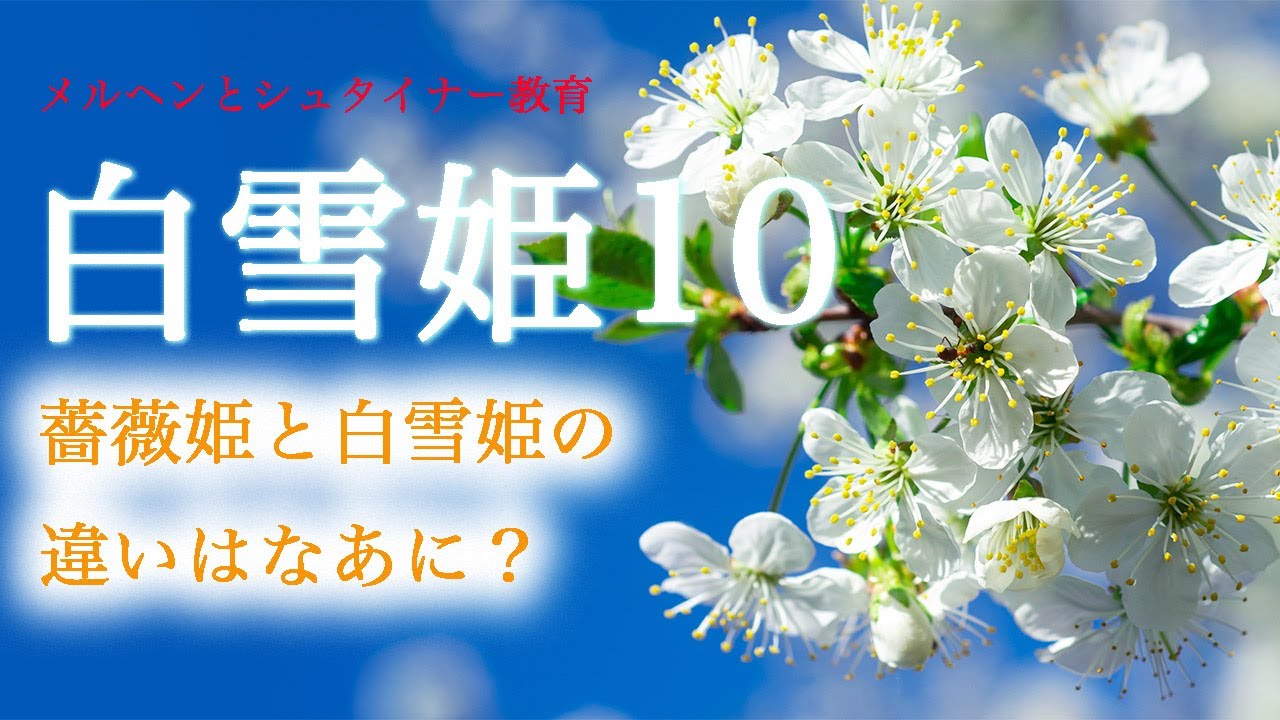 白雪姫ページ ミニちょうちん 白雪姫ページ ミニちょうちん